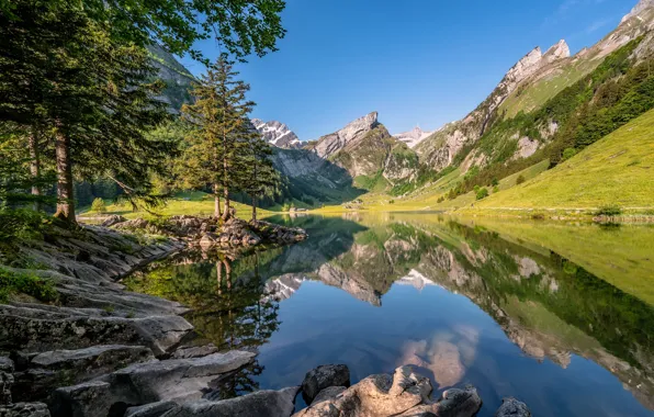 Forest, mountains, lake, reflection, blue, stones, rocks, shore