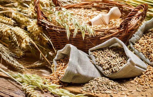 Ears, Basket, Spoon, Grain, Bags