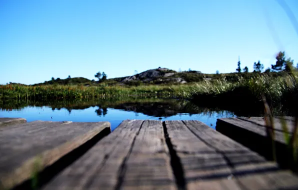 Water, nature, lake, river, plants, the bridge