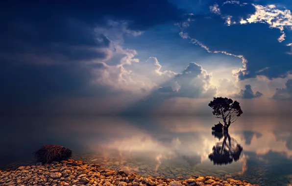 Picture the sky, the sun, clouds, trees, landscape, reflection, dawn, nature