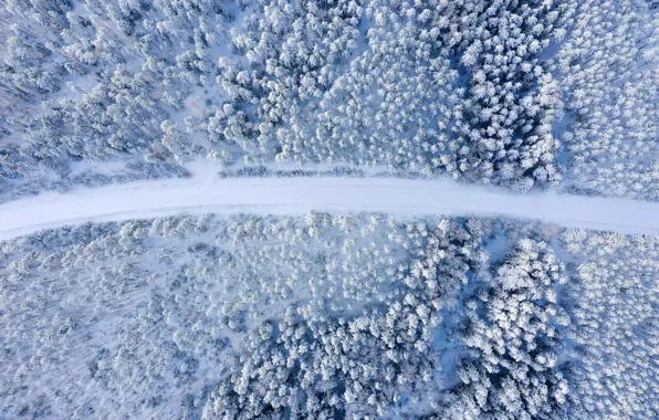 Winter, road, forest, snow, trees, landscape, nature, the view from the top