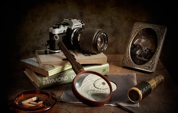 Picture books, portrait, magnifier, the camera, detectives, Watching The Detectives