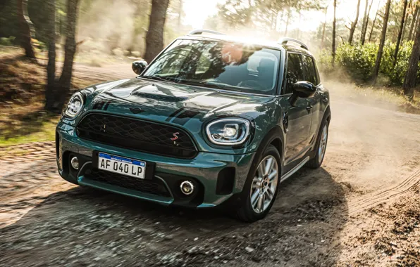 Cooper, Countryman, Forest, MINI, Cooper S, Forest, 2021, Countryman S