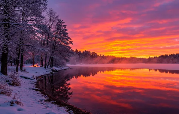 Winter, forest, water, snow, sunset, lake, ice