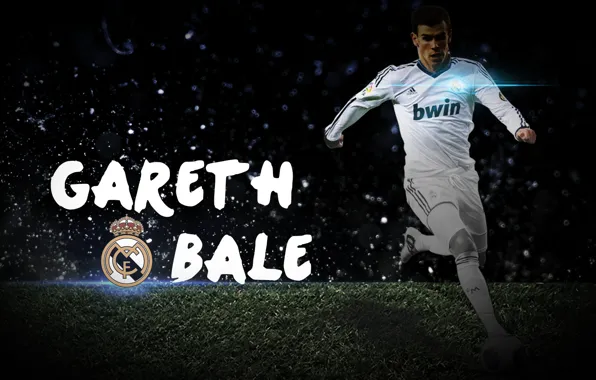 Gareth Bale Real Madrid C.F. Soccer Welsh In Audience Background HD Gareth Bale  Wallpapers | HD Wallpapers | ID #75911