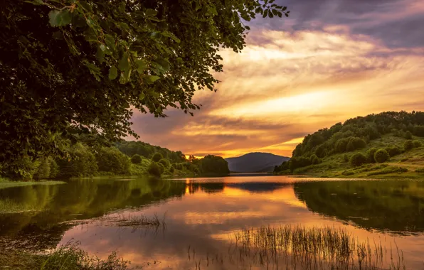 Picture the sky, trees, landscape, sunset, river, hills