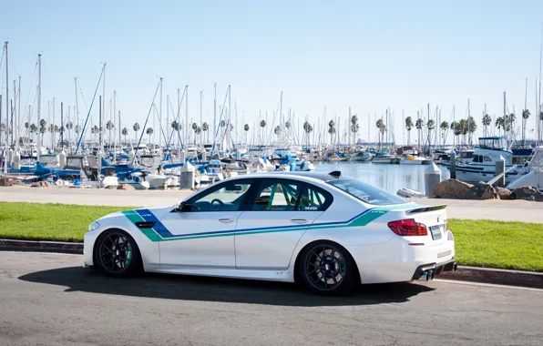 White, the sky, lawn, bmw, BMW, yachts, pier, white