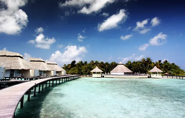 The sky, clouds, palm trees, island, the Maldives, the hotel, Tea Reef, Allido, allido