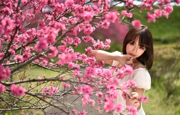 Picture girl, spring, Asian
