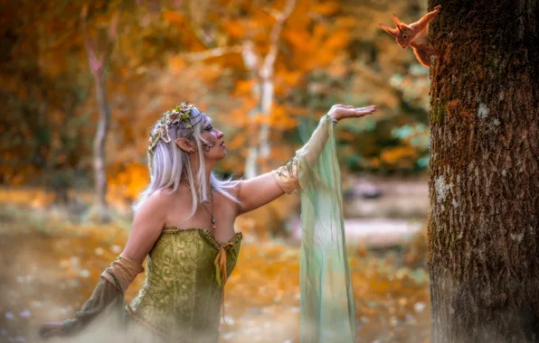 Autumn, forest, girl, flowers, nature, pose, background, tree