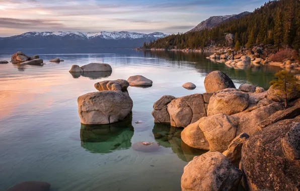 Sea, forest, sunset, mountains, reflection, stones, shore, forest