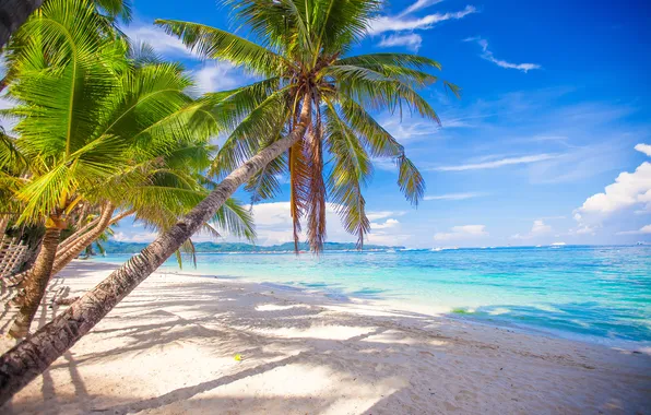 Sand, sea, wave, beach, summer, the sky, palm trees, shore