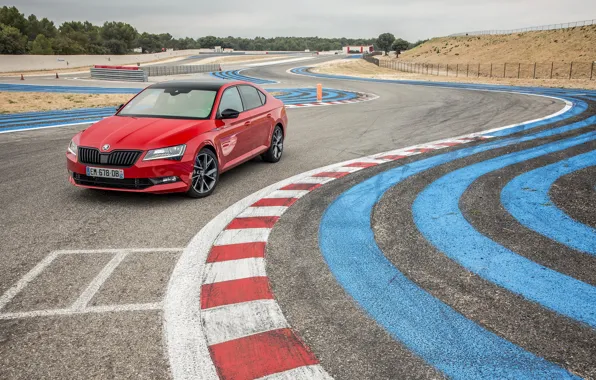 Auto, track, Skoda, Superb, SportLine