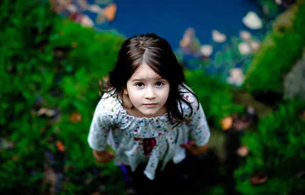 Picture greens, look, nature, hair, child, blur, dress, girl