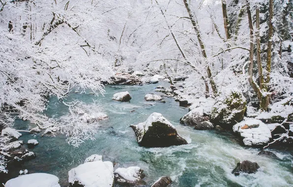 Winter, snow, trees, branches, river, stones