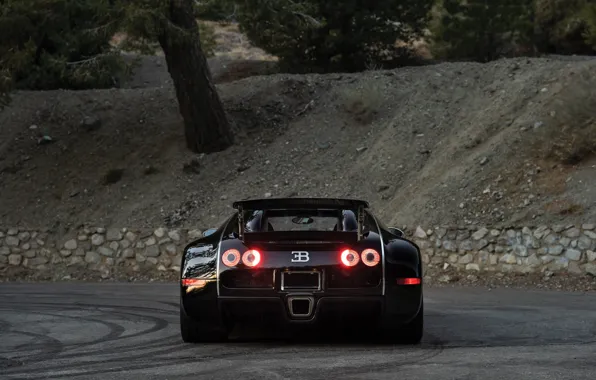 Bugatti, Veyron, Bugatti Veyron, rear, 16.4, Black Blood