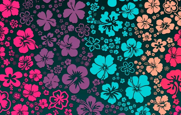 Picture flowers, background, flowers, color