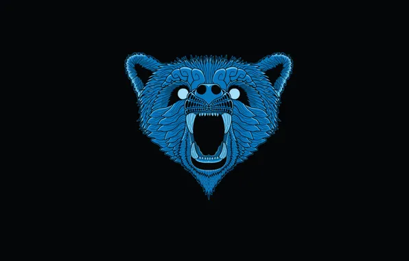 Picture head, bear, minimalism, bear, blue, black background, face