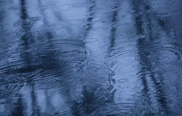 Autumn, water, reflection, rain, puddle