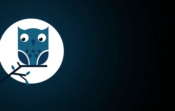 Picture branches, background, owl, bird