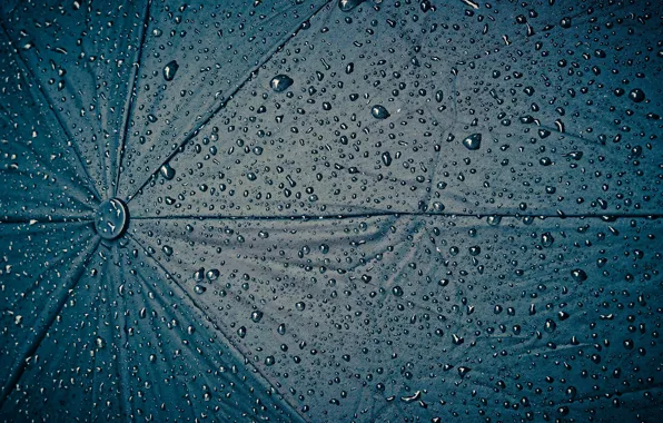 Picture drops, the dark background, umbrella, rain, texture, umbrella, water drops, opened