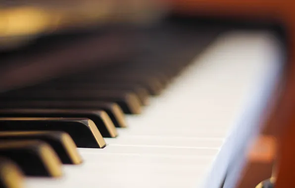 Keys, piano, musical instrument
