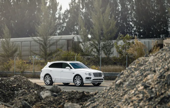 Bentley, White, VAG, Bentayga