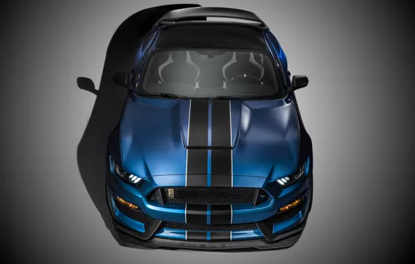 Mustang, Ford, Shelby, Muscle, Car, Front, 2015, GT350R