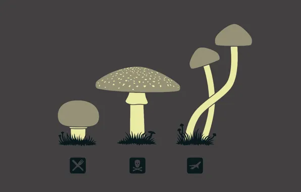 Picture mushrooms, icons, hallucinogens