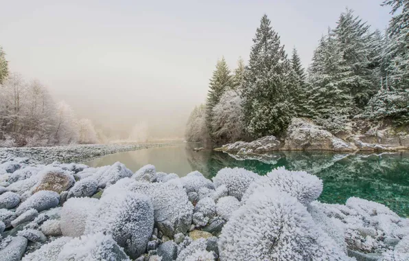 Picture winter, snow, trees, rocks, Canada, British Columbia, river Taylor
