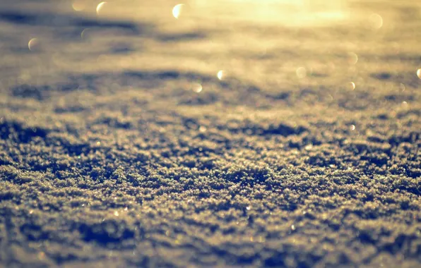 Winter, the sun, macro, snow, background, Wallpaper, day, wallpaper