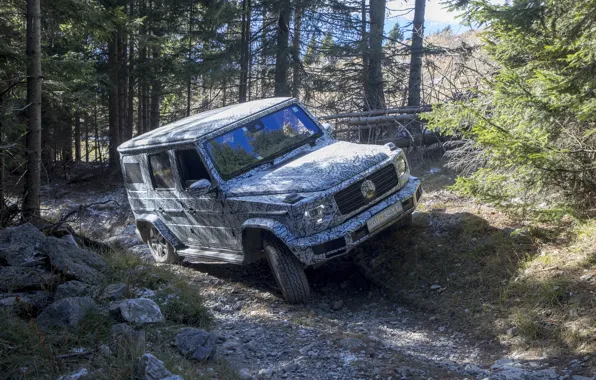 Picture forest, trees, stones, Mercedes-Benz, disguise, test, 2018, G-Class