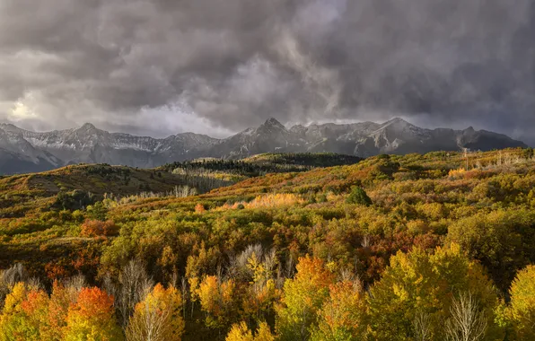 Autumn, forest, trees, mountains, fog, tops, view, dal