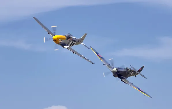 Picture the sky, aircraft, P51 Mustang