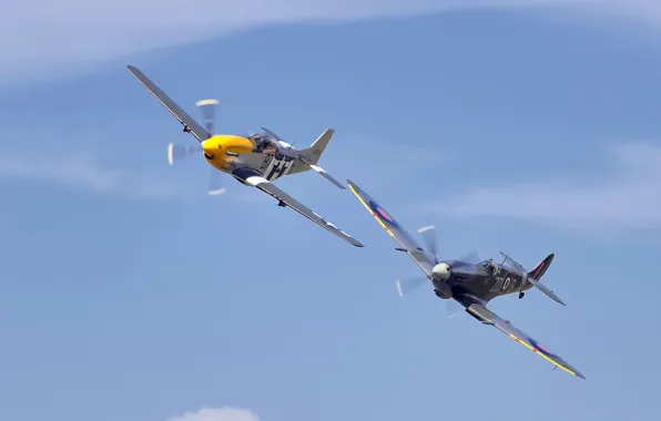 The sky, aircraft, P51 Mustang