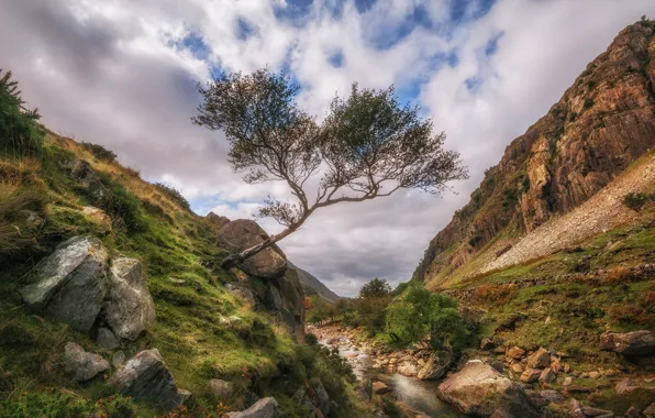 Clouds, landscape, mountains, stones, tree, Wales
