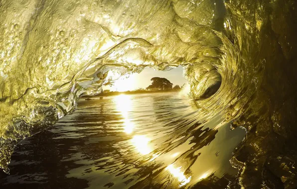 Picture sea, wave, water, light, trees