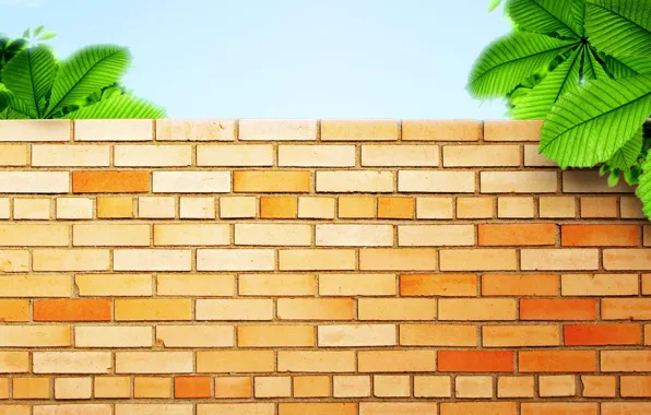 Greens, wall, wall, bricks