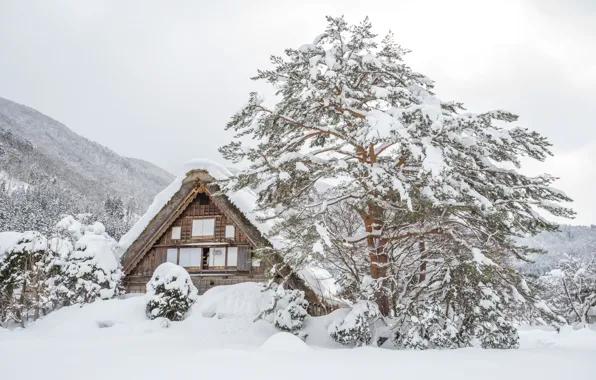 Winter, snow, trees, landscape, winter, house, hut, landscape