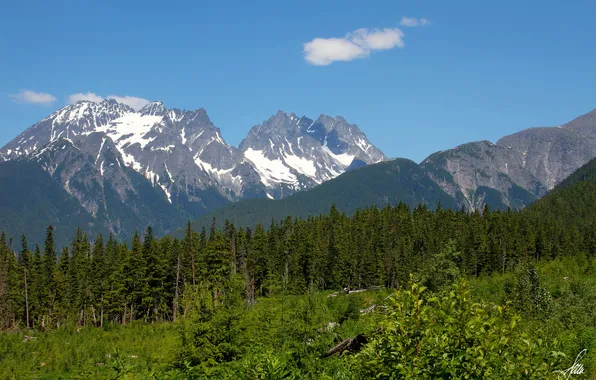 Forest, trees, mountains, nature, Alaska, Alaska