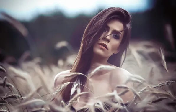 Look, portrait, Paulina