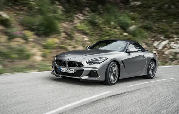 Picture road, roof, grey, speed, BMW, Roadster, BMW Z4, M40i