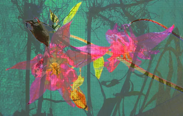 Flower, line, paint, texture, petals