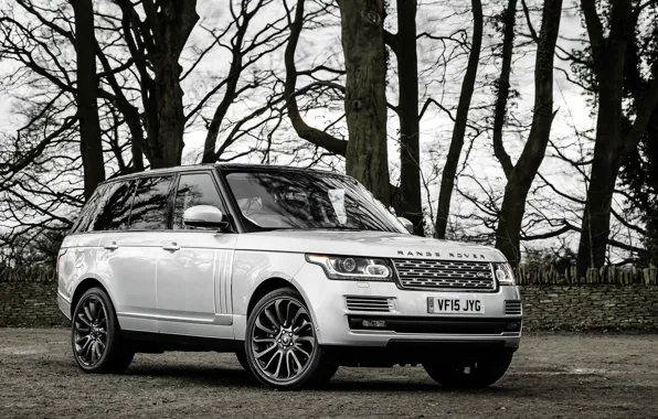 Sport, Land Rover, Range Rover, Sport, land Rover, range Rover