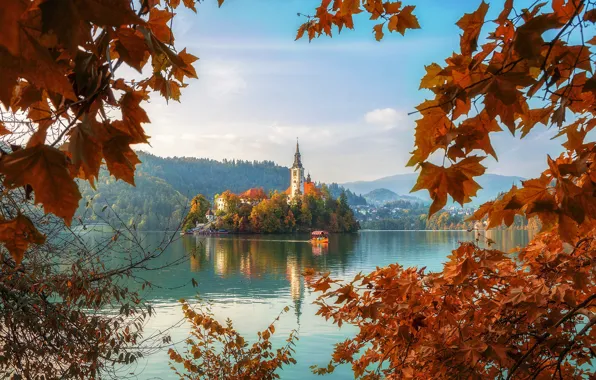 Autumn, forest, mountains, reflection, blue, shore, foliage, view