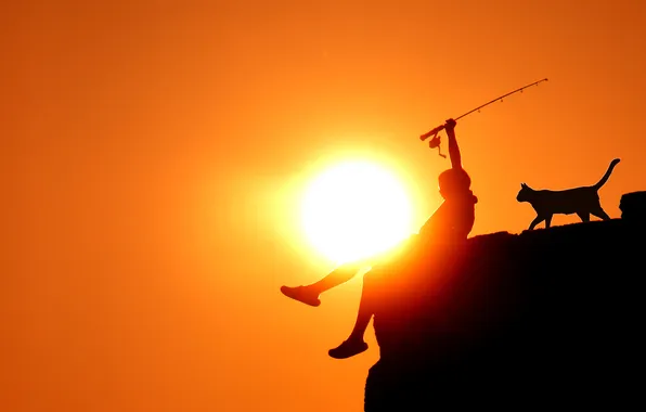 Picture cat, the sun, fishing, boy