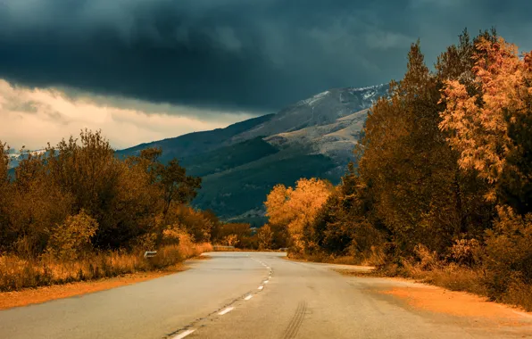 Picture road, autumn, forest, clouds, trees, mountains, clouds, overcast