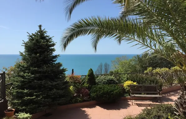 Nature, Nature, Sochi, Sochi, Sea View, Sea View