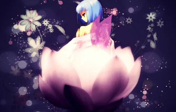 Flowers, wings, Lotus, girl, Art, blue hair, Shakugan no Shana, Hecate