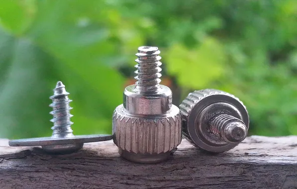 Greens, macro, trees, nuts